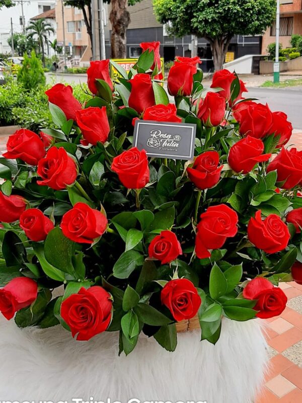 Ramo de rosas rojas para regalo