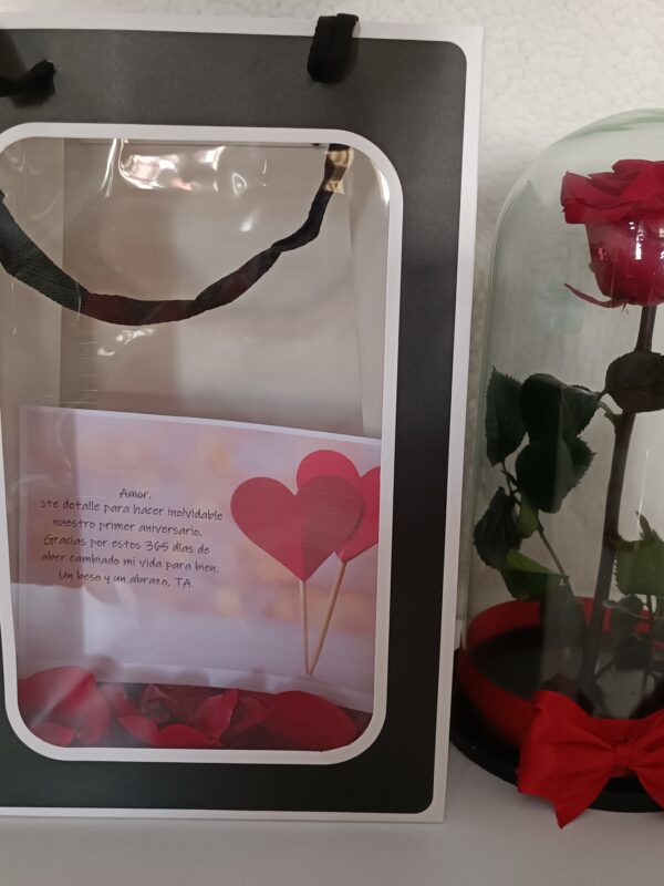 Rosas Rojas Preservadas Bucaramanga