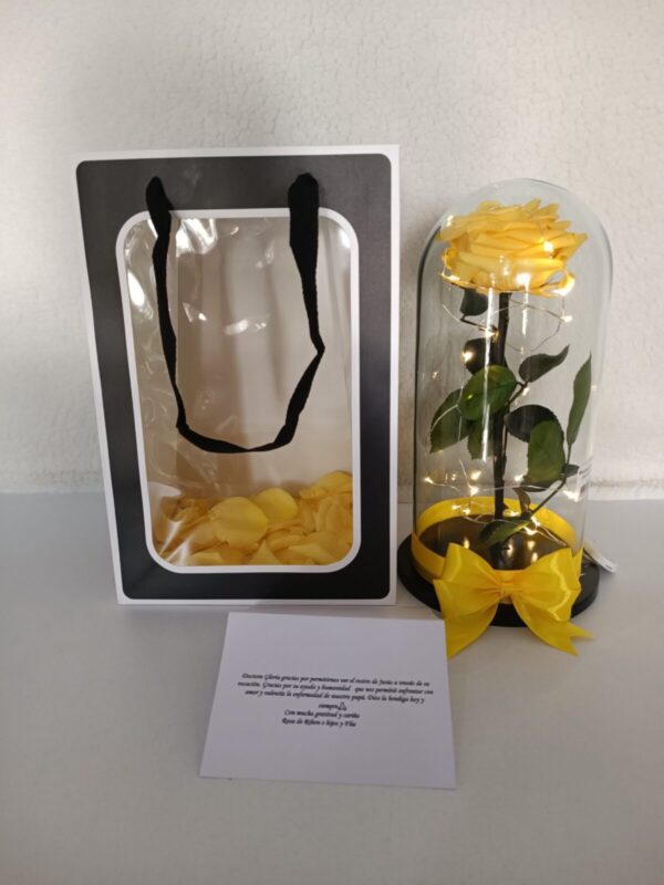 Floristeria Bucaramanga / Rosas Preservadas