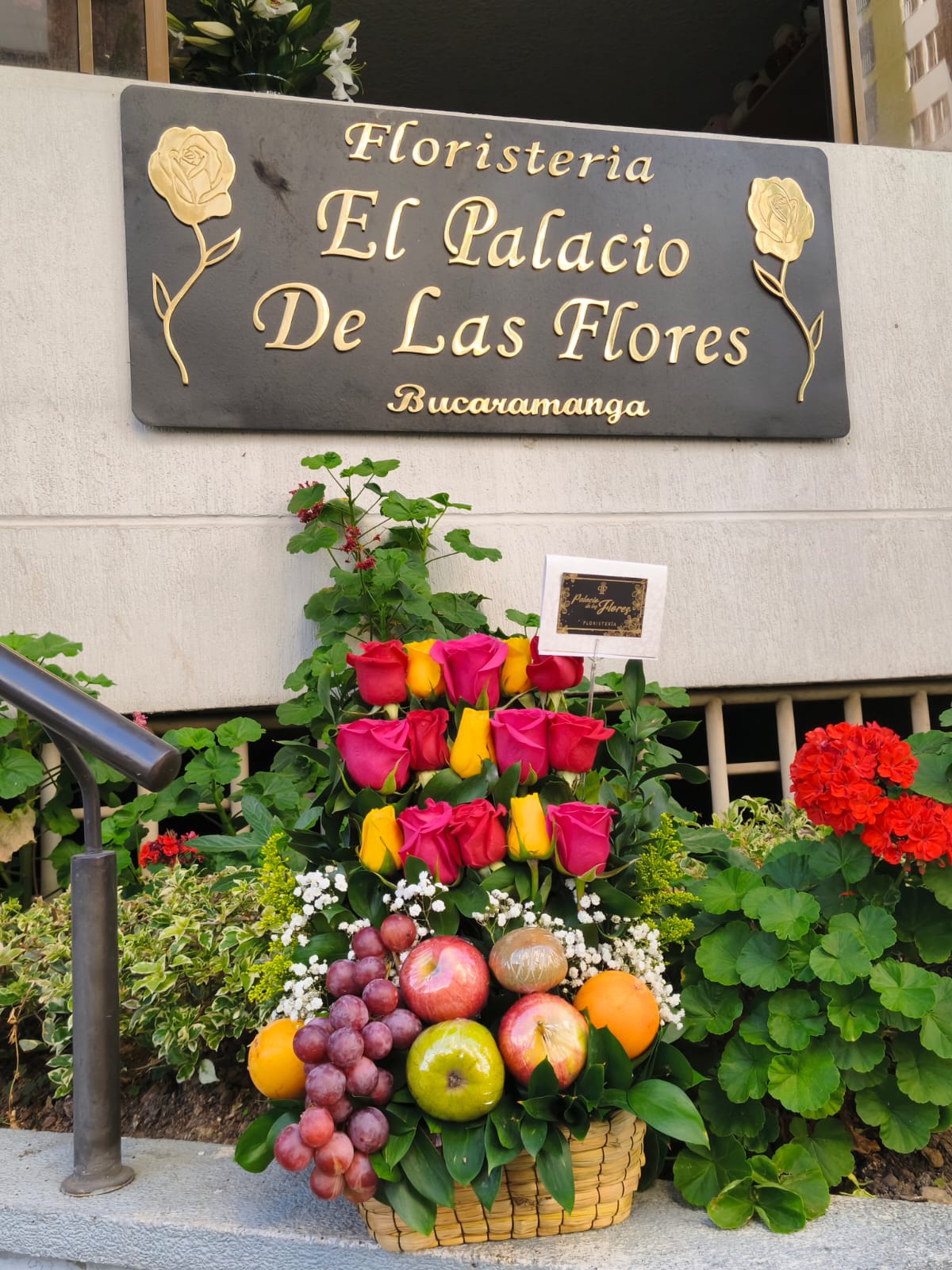 Canasta de frutas con rosas fucsia Bucaramanga