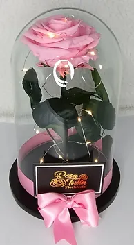 Arreglos florales preservadas